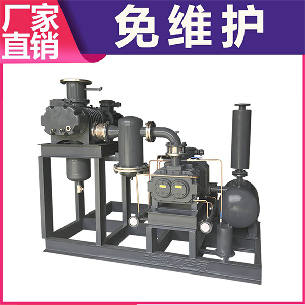 羅茨真空泵機組型號