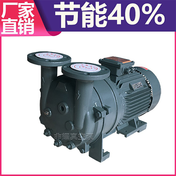 2BV水環真空泵