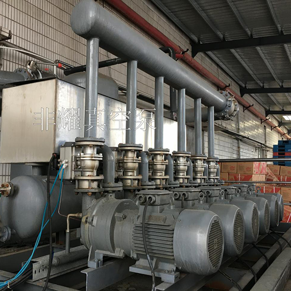 2BV水環(huán)真空泵