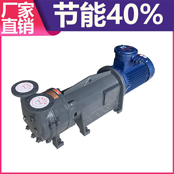 2BV水環真空泵